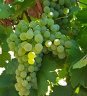 20180818_105941.jpg